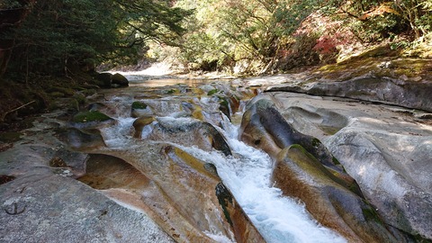 68-55(23-19)藤河内渓谷キャンプ場234S