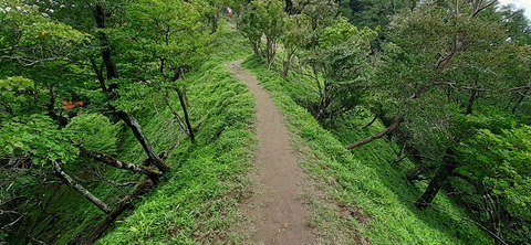 168-153(10-10)英彦山登山731_112807