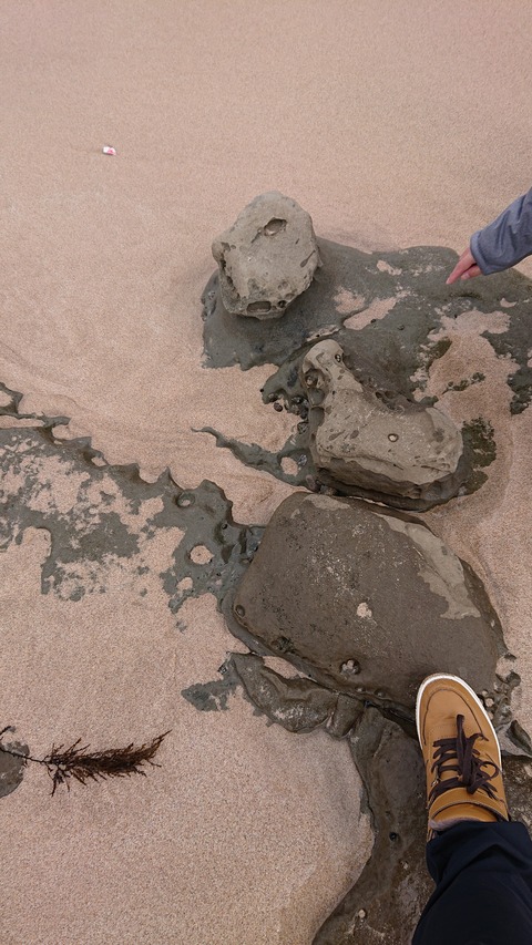 80-66(35-30)小田大浜キャンプ場207S