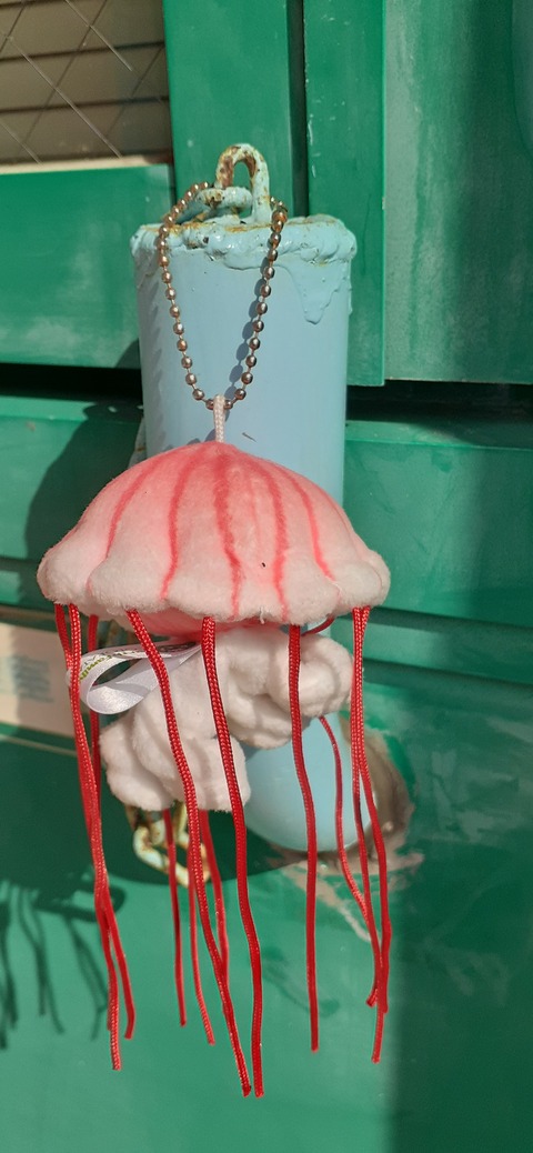 198-182(40-39)キワラビーチ225_133949