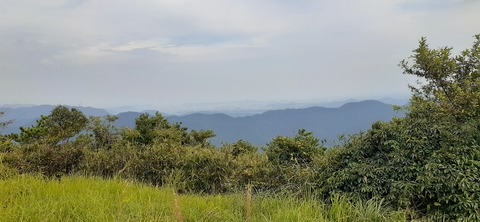 231-214(20-19)牛斬山1001_145221