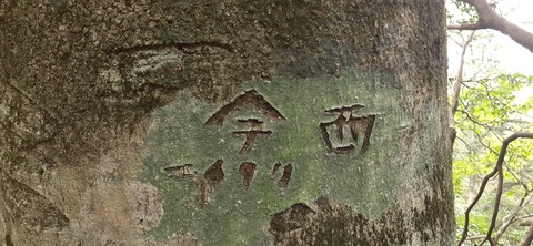 227-210(16-15)スノーピーク奥日田902_125938