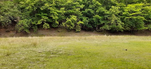 156-141(55-55)鹿川キャンプ場506_094923