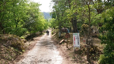 100-85(55-49)鹿川キャンプ場7013