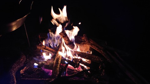 126-111(25-25)CAMP✕WOODS421