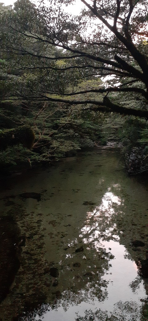 260-241(49-46)宮之浦岳淀川小屋501_184526