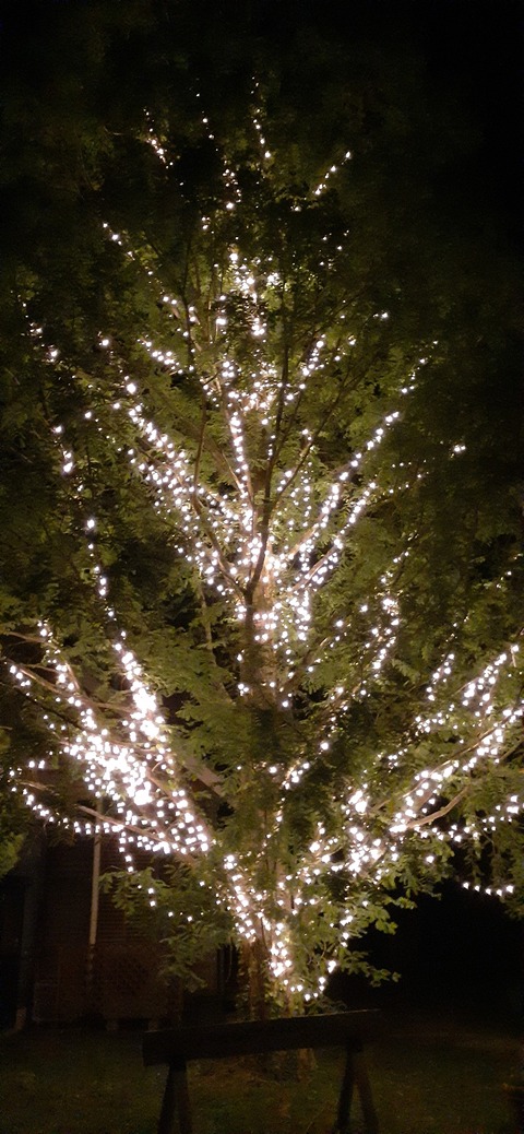 205-189(47-46)ラピュタファーム422_220305