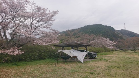 91,92-77,78(46,47-41,42)阿武川河川公園184SR