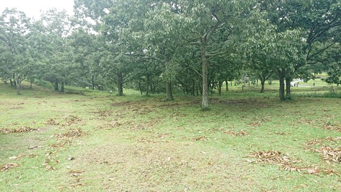 59-48(14-12)瀬の本高原オートキャンプ場408S