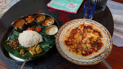 33-26萩阿武川温泉キャンプ場373