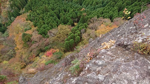 124-109(23-23)英彦山野営場115