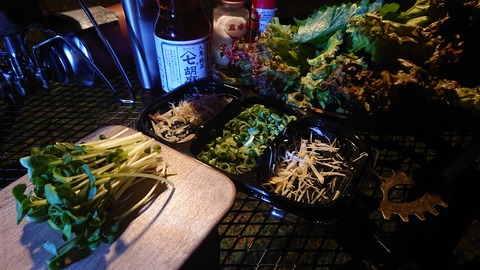 59-48(14-12)瀬の本高原オートキャンプ場500S