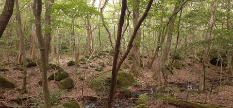 269-249(6-5)泉水キャンプ村721_094945
