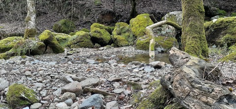 202-186(44-43)八木山渓流公園325_123723