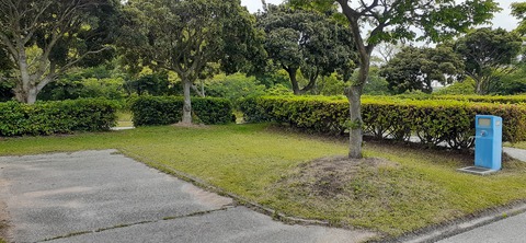 212-196(1-1)竜王山公園AC520_102329