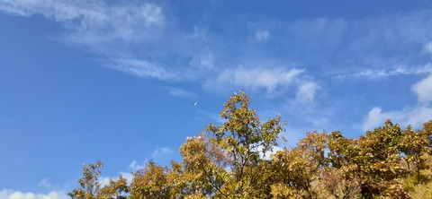 182-166(24-23)長湯きらりキャンプ場1106_123947