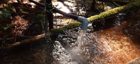 259-240(48-45)宮之浦岳新高塚小屋430_075700