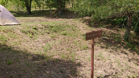 97-82(52-46)江汐公園キャンプ場707