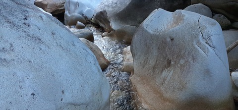 236-219(25-24)大崩山1104_065728