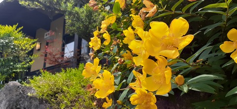 215-199(4-4)YUNOMORI CAMP SITE617_122429