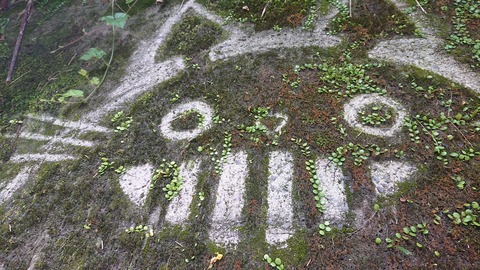 109-94(8-8)スパージュ7928