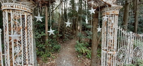 144-129(43-43)スゼンジハウスオープンエア26_105737