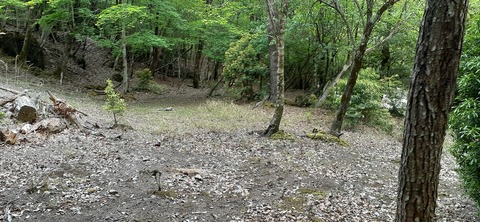 156-141(55-55)鹿川キャンプ場505_152943