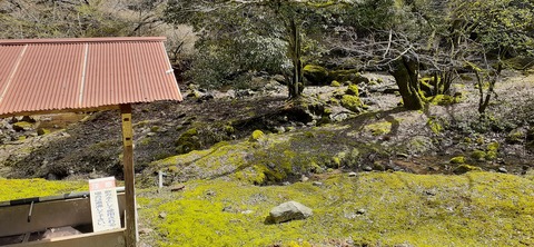 202-186(44-43)八木山渓流公園325_111725