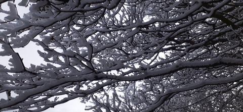 251-232(40-37)法華院温泉山荘2泊目224_105156