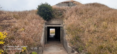 131-116(30-30)大島津和瀬キャンプ場31241