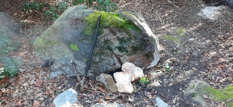 251-232(40-37)伽藍岳ゲリラキャン303_092911