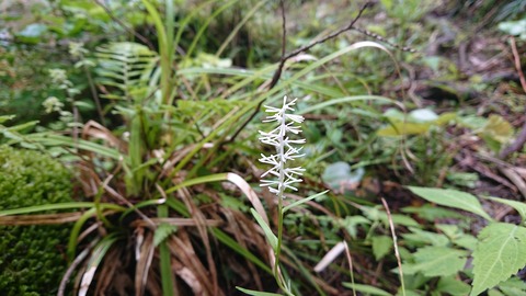 104-89(3-3)八木山渓流公園403