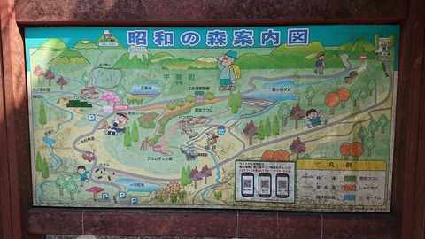 88-74(43-38)昭和の森一本松サイト872