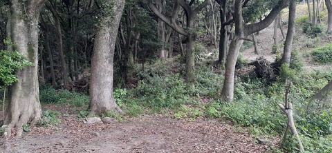 213-197(2-2)レムブランベースC527_133134