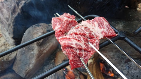 68-55(23-19)藤河内渓谷キャンプ場251S