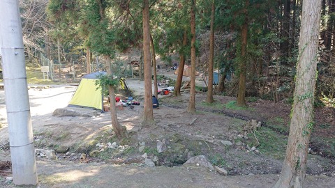 88-74(43-38)昭和の森一本松サイト871