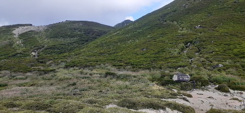 228-211(17-16)登山くじゅう連山910_094807