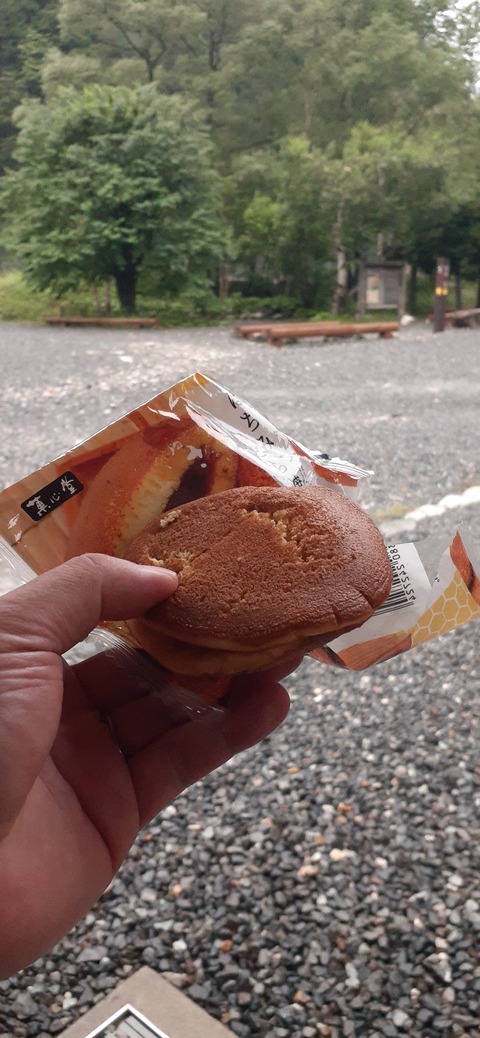 272-252(9-8) 上高地穂高岳814_072526