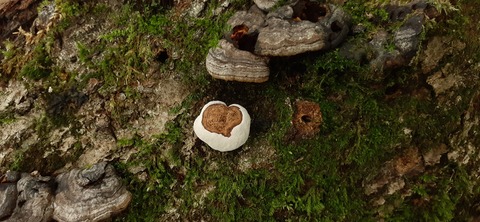 227-210(16-15)スノーピーク奥日田902_125347