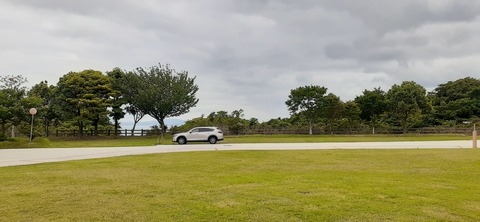 212-196(1-1)竜王山公園AC520_101658