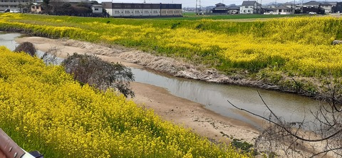 199-183(41-40)山中キャンプ場312_111737
