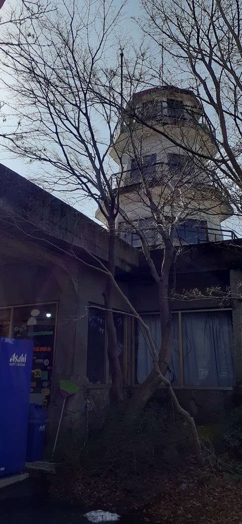 194-178(36-35)ゴンドーシャロレー⑨212_111020