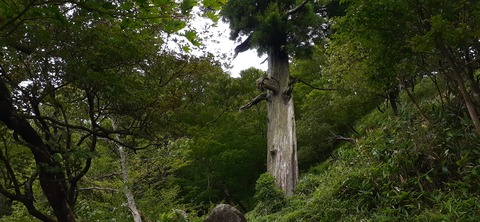 168-153(10-10)英彦山登山731_103809