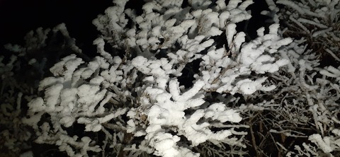 250-231(39-36)RECAMP志高湖 由布岳211_060645