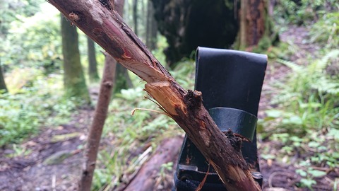 104-89(3-3)八木山渓流公園456