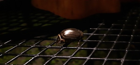 168-153(10-10)阿蘇ファンタジーの森806_222154