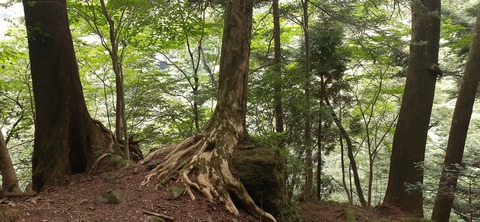 227-210(16-15)スノーピーク奥日田902_132124