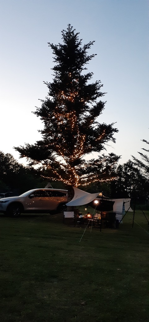 205-189(47-46)ラピュタファーム422_190730