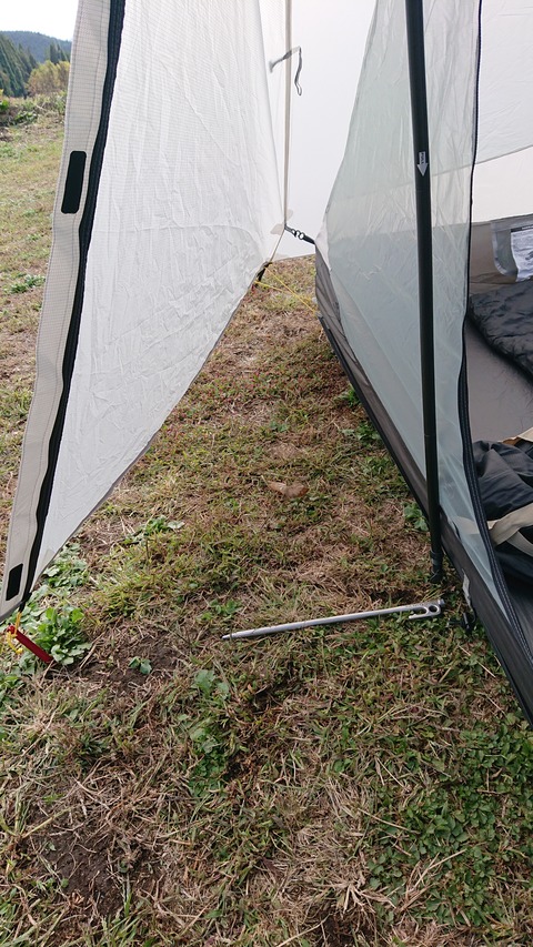 125-110(24-24)キャンプ＆農園玖珠の杜237