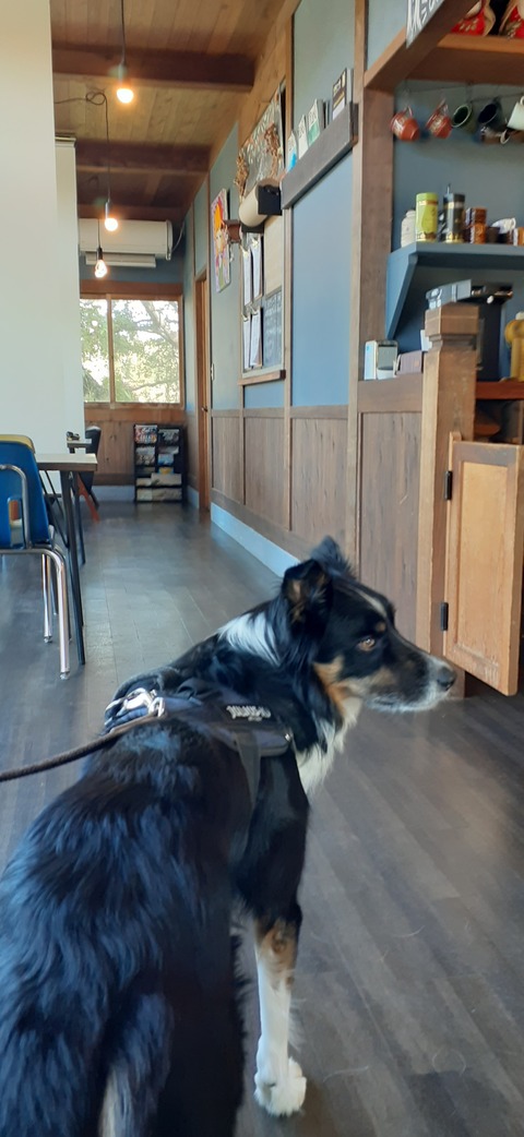 182-166(24-23)長湯きらりキャンプ場1105_124303